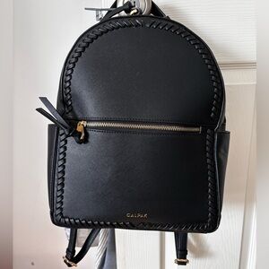 Cutest CALPAK backpack